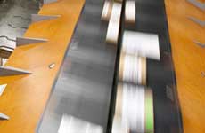 Domestic Mail Services