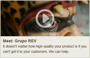 Meet: Grupo REV