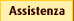 Assistenza
