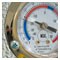 Read and Discover: UPS Temperature-Sensitive Solutions