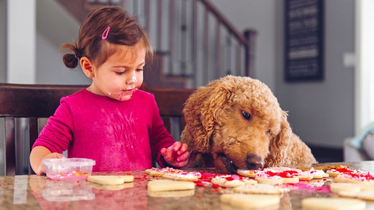 Little girl decorating cookies