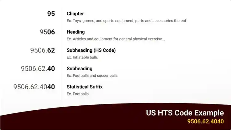 描述 HTS 代碼元素的資訊圖