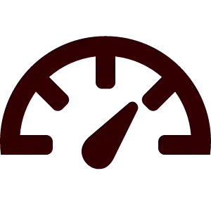 Ikona UPS – najszybsze doręczenie